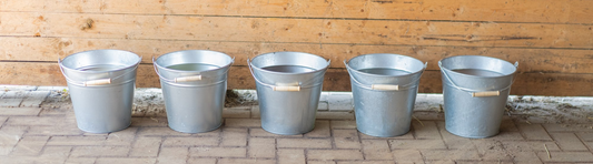 Mineralenbuffet voor paarden: geef je paard een keuze!
