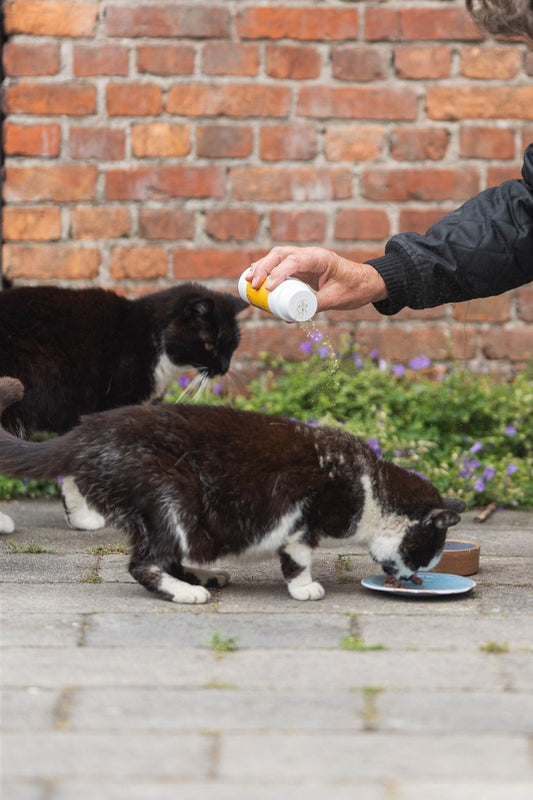ATV Poeder voor katten
