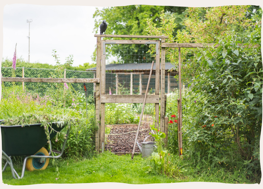 Tuin