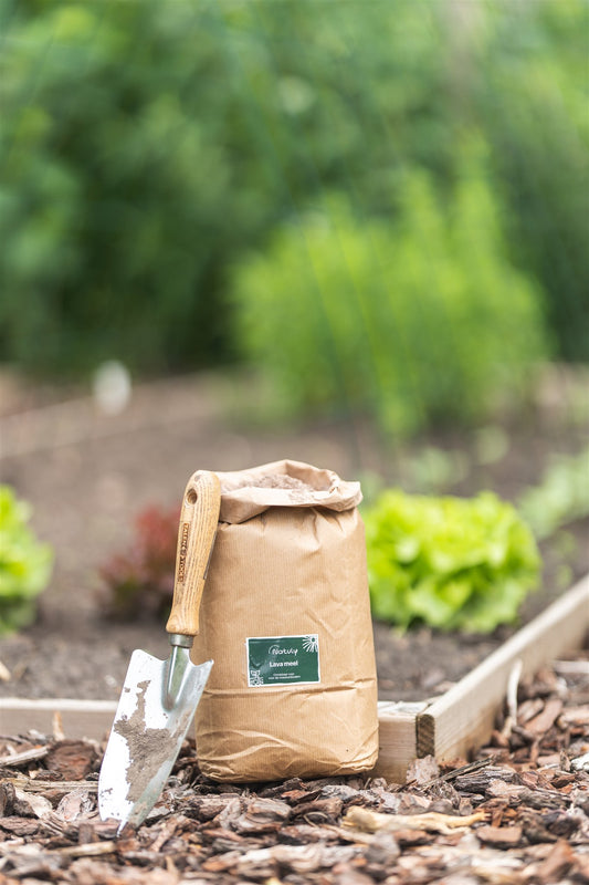 Eifel Lava meel moestuin