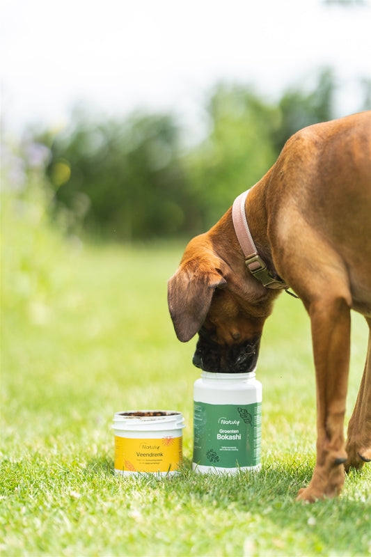 Bokashi veendrenkstof voor honden