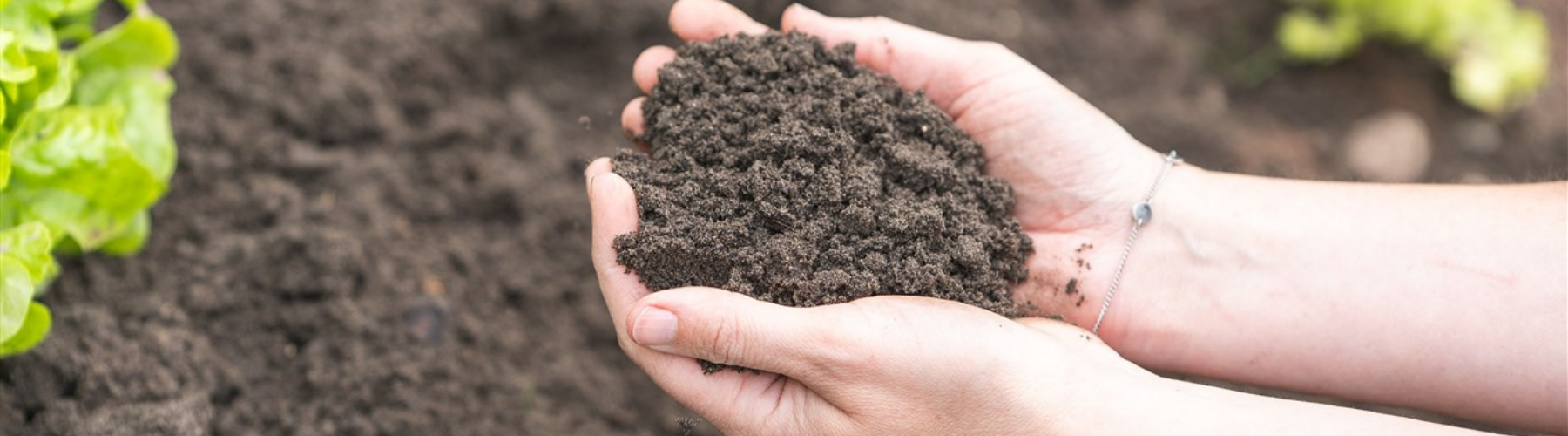 Pagina compost