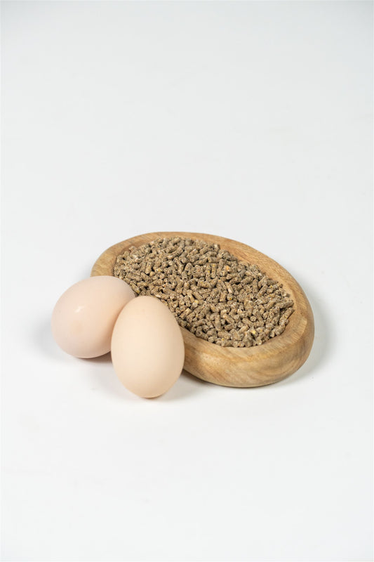 Legkorrel met kippenei