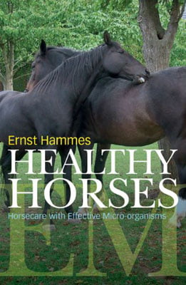 Healthy horses