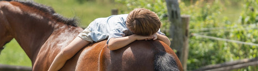Zomereczeem bij paarden