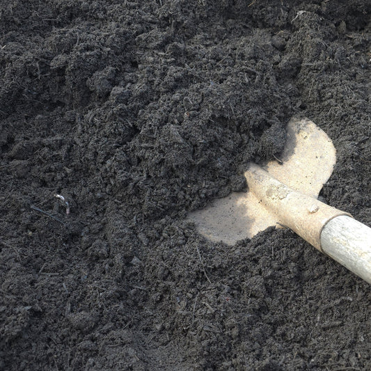 Compost