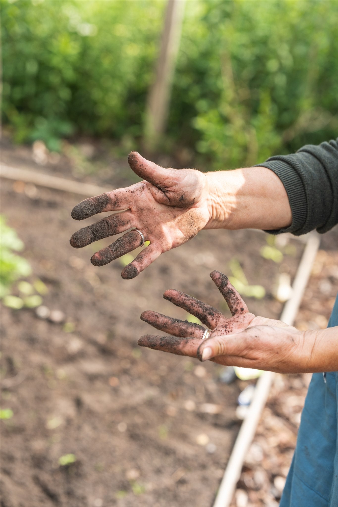Vieze handen werken in de moestuin