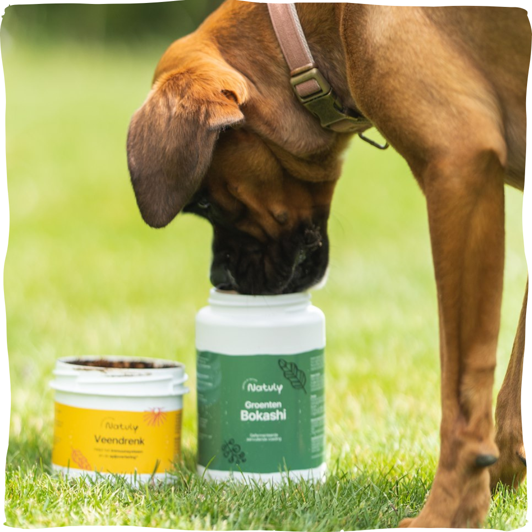 hond eet groentenbokashi