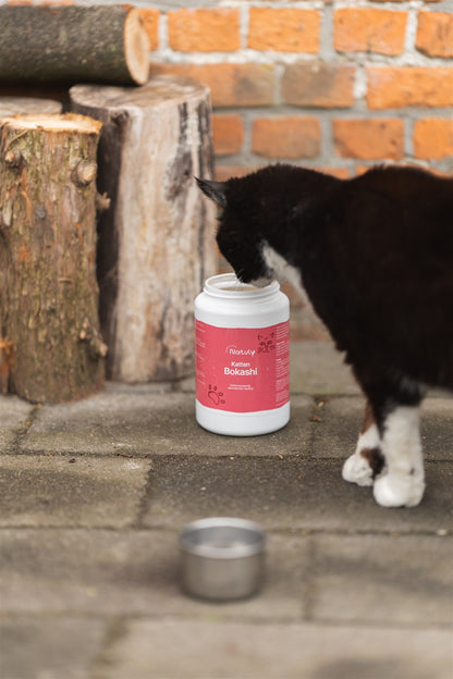 Katten bokashi proeven