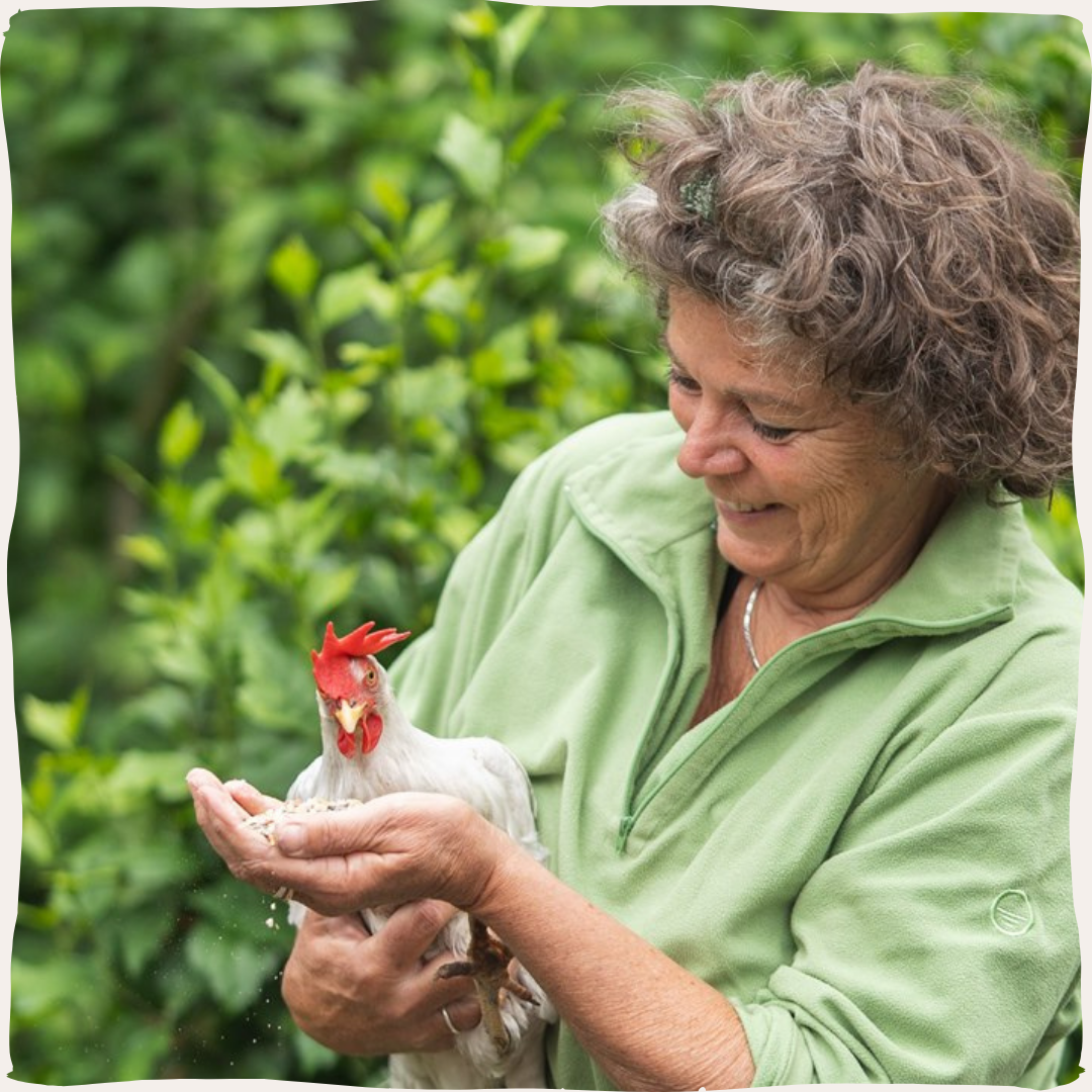 Kippen verzorging collectie