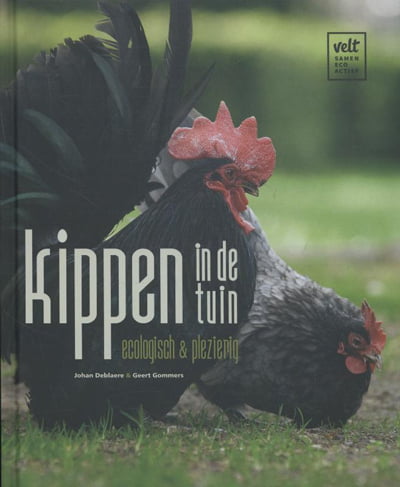 Kippen in de tuin